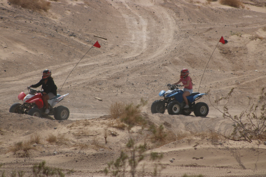 Two people riding ATV bikes in a desert area with red flags.